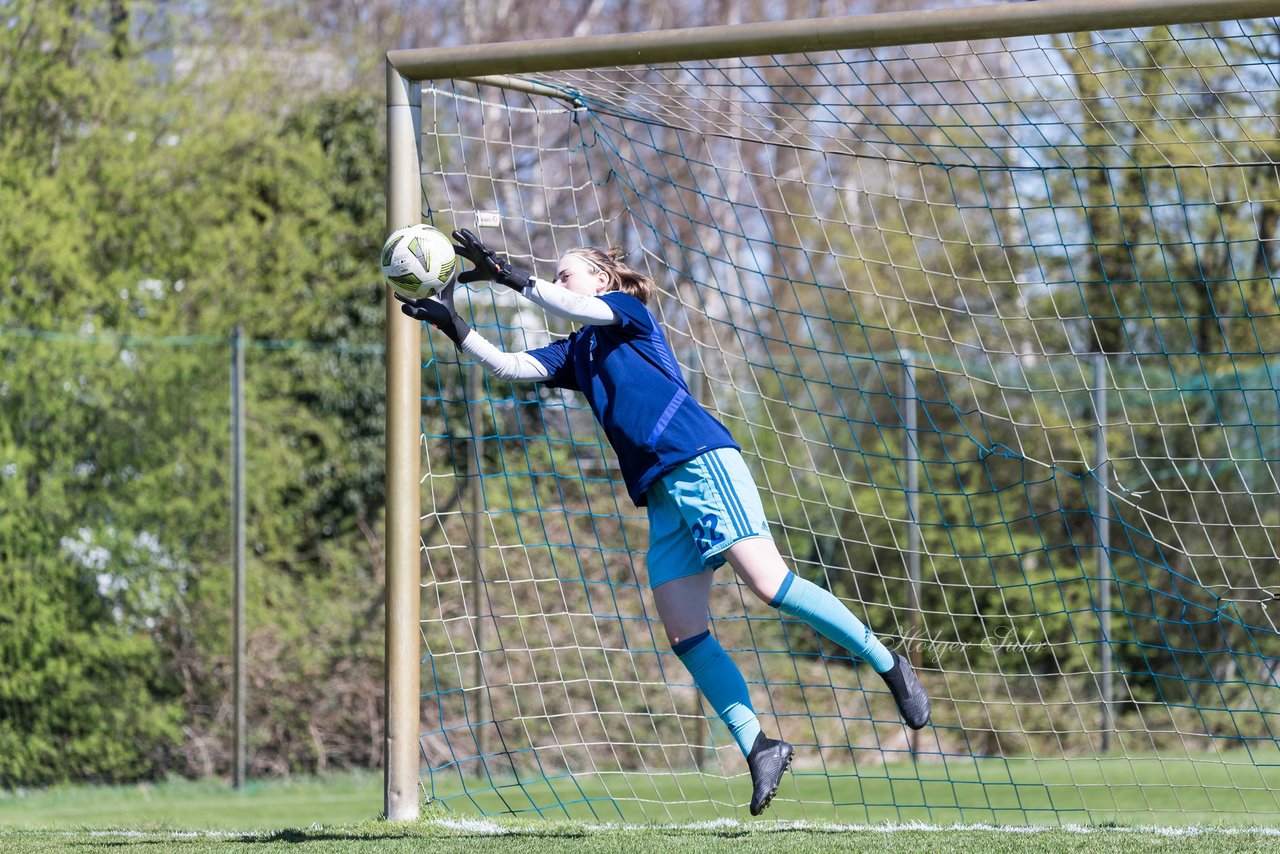 Bild 144 - wBJ Hamburger SV - WfL Wolfsburg : Ergebnis: 2:1